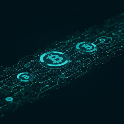 Represent Chinese woman convicted after 'world's biggest' Bitcoin seizure article