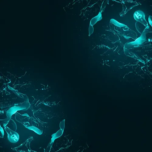 Represent BTC dip predictions fall below $90K: 5 things to know in Bitcoin this week article
