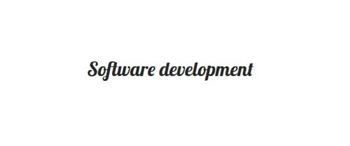 Represent How much does custom software development cost? article