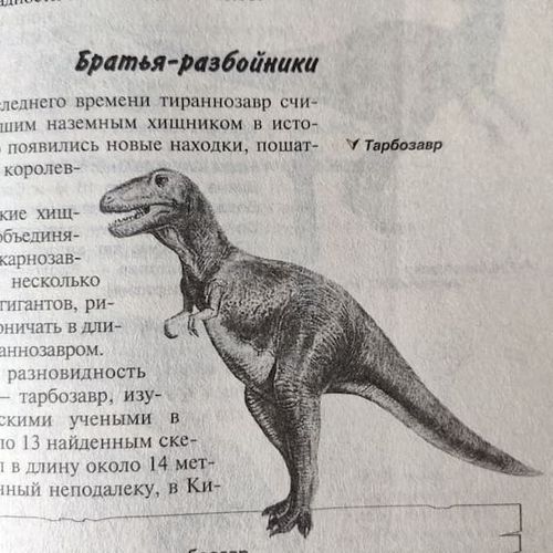Represent Dinosaurs will be cloned in the near future article